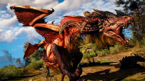 dragons in witcher 3|Dragon .